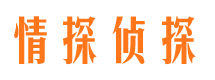 融安市调查公司